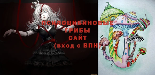 ПСИЛОЦИБИНОВЫЕ ГРИБЫ Алзамай
